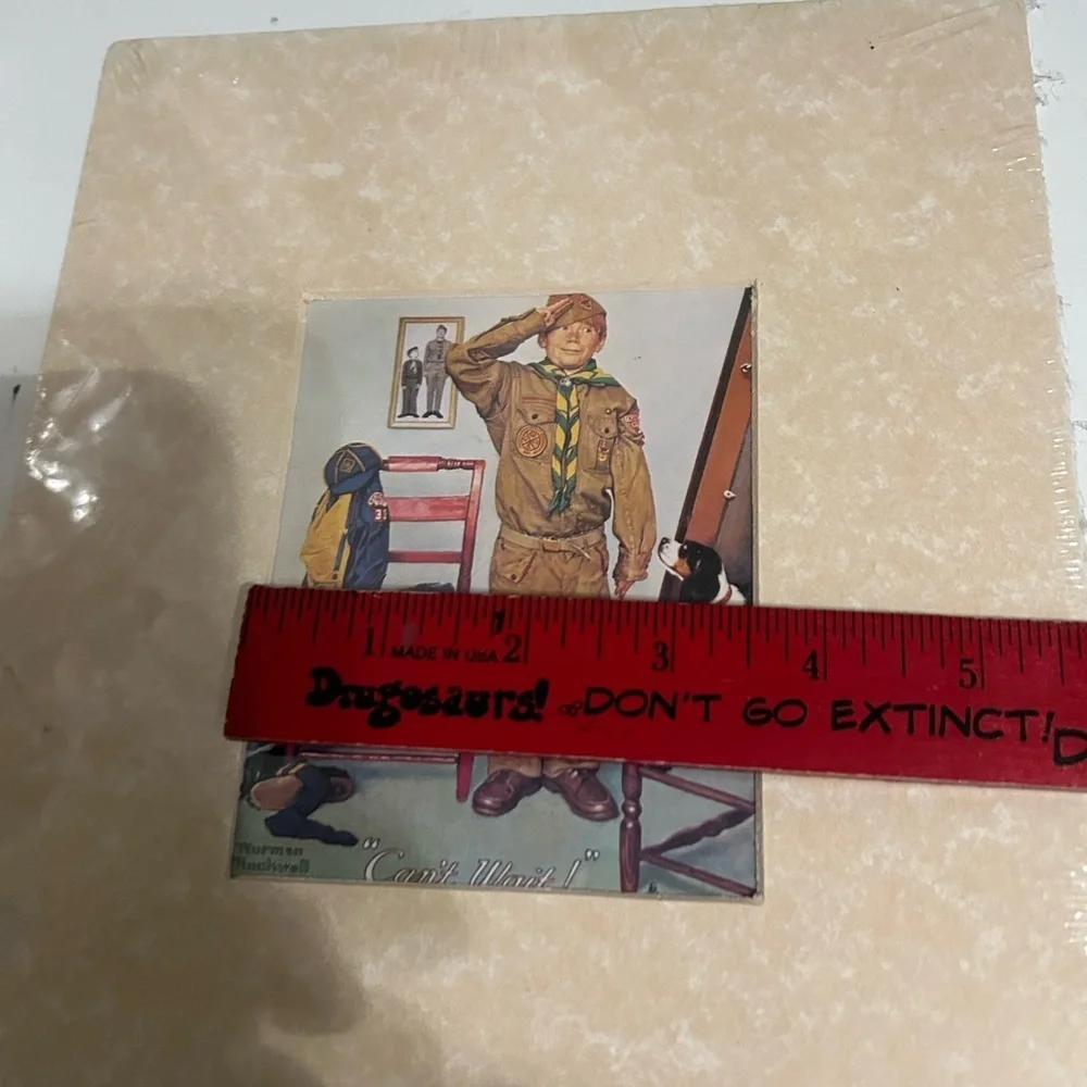 Norman Rockwell Boy Scouts Of America “Can’t Wait” Print 8x10 With Mat-New
